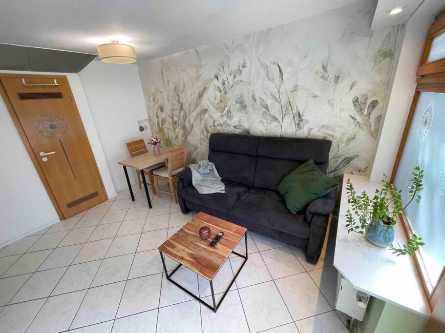 Apartament Auszeit Am Gehrenberg Markdorf Zewnętrze zdjęcie
